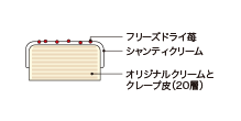 Cross-sectional view