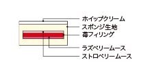 Cross-sectional view