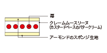 Cross-sectional view