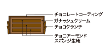 Cross-sectional view