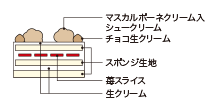 Cross-sectional view