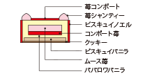 Cross-sectional view