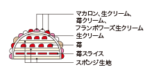 Cross-sectional view