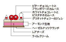 Cross-sectional view