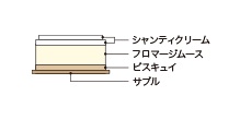 Cross-sectional view