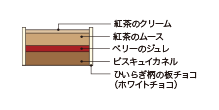 Cross-sectional view