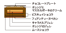 Cross-sectional view