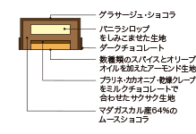 Cross-sectional view