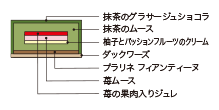 Cross-sectional view