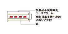 Cross-sectional view