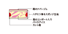 Cross-sectional view