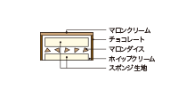 Cross-sectional view