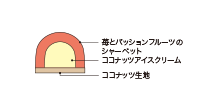 Cross-sectional view