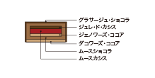 Cross-sectional view