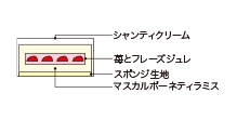 Cross-sectional view