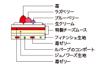 Cross-sectional view