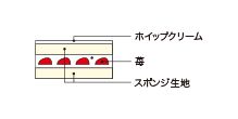 Cross-sectional view