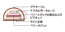 Cross-sectional view