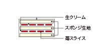 Cross-sectional view