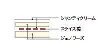 Cross-sectional view