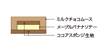 Cross-sectional view