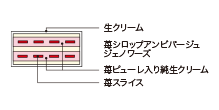 Cross-sectional view