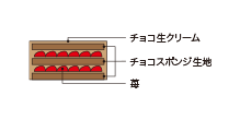 Cross-sectional view