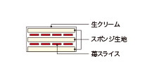 Cross-sectional view