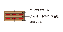 Cross-sectional view